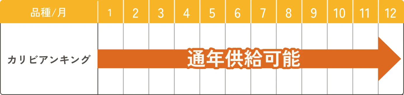 周年カレンダー