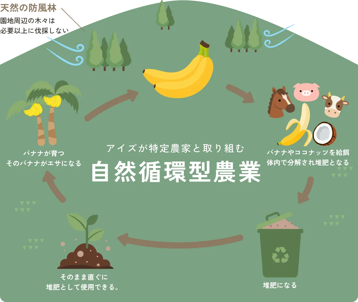自然循環型農業