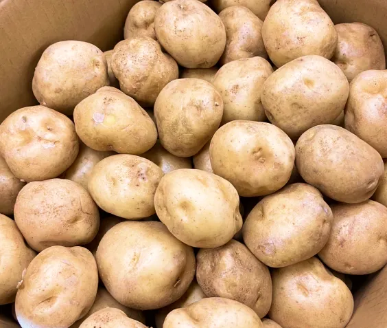 生産農園紹介のイメージ