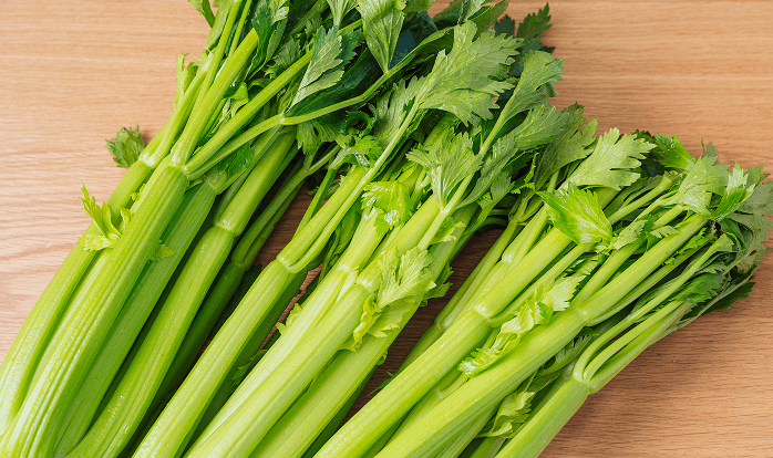 セロリ